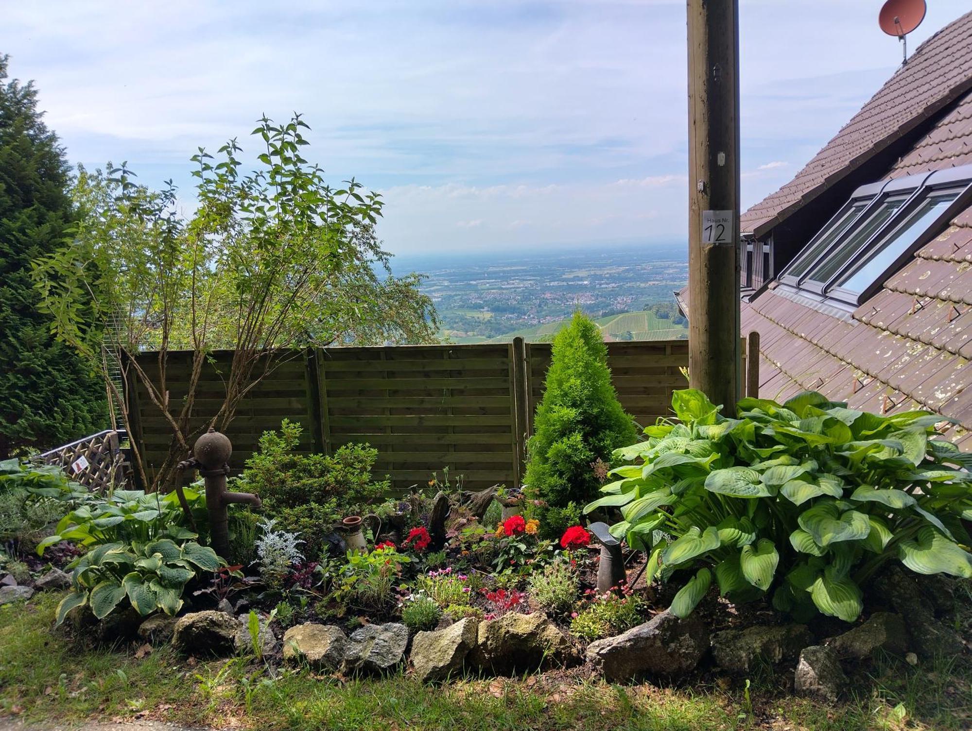 ザスバッハヴァルデンHaus "Guck - Ins - Tal"アパートメント エクステリア 写真