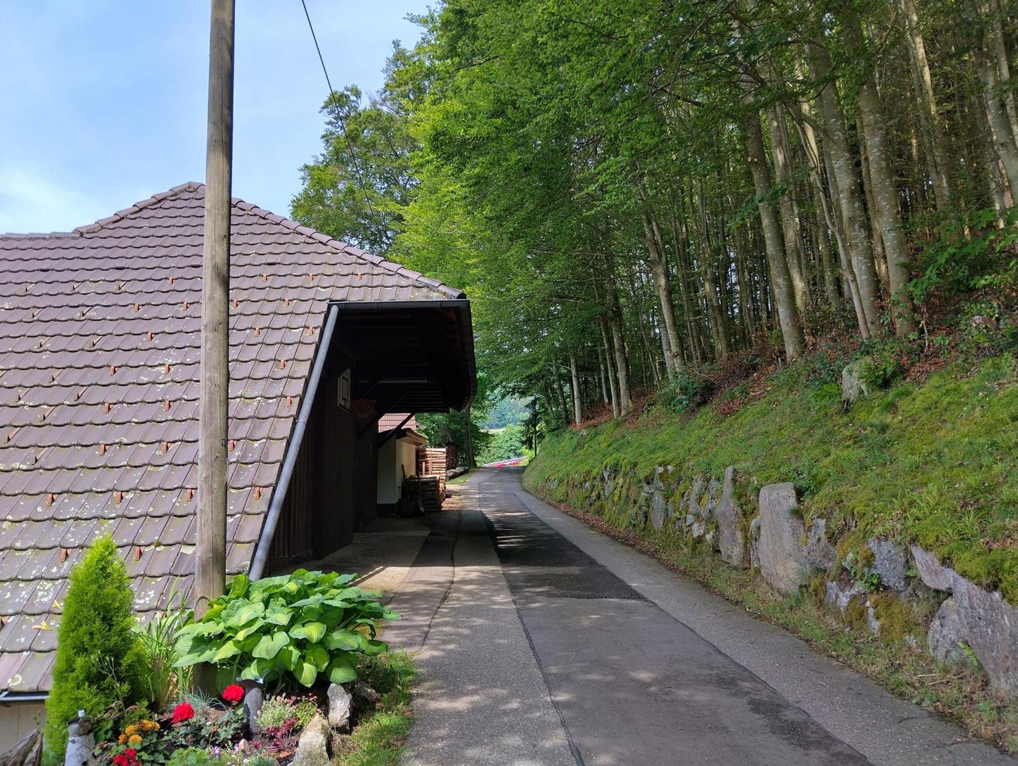 ザスバッハヴァルデンHaus "Guck - Ins - Tal"アパートメント エクステリア 写真