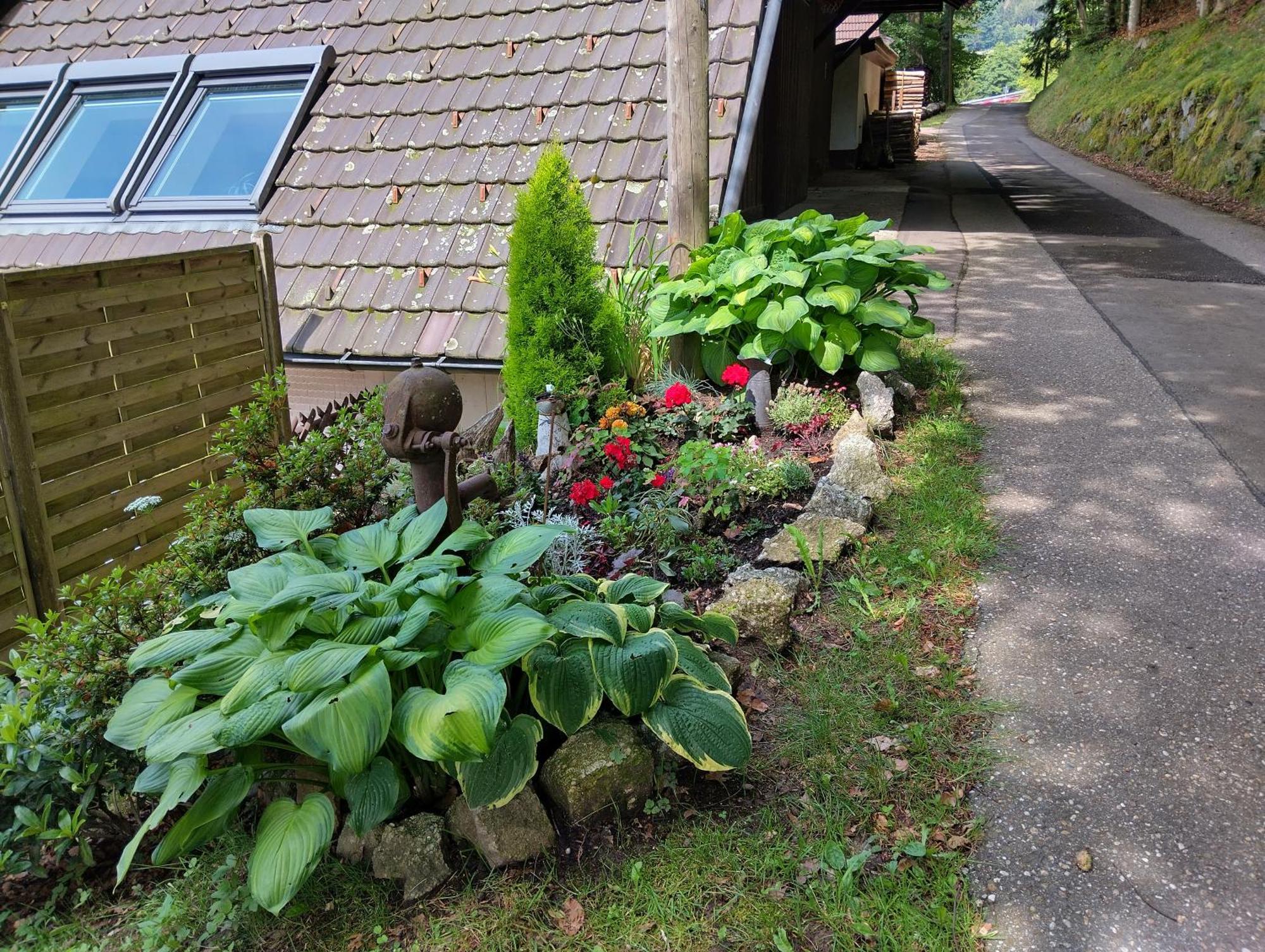 ザスバッハヴァルデンHaus "Guck - Ins - Tal"アパートメント エクステリア 写真