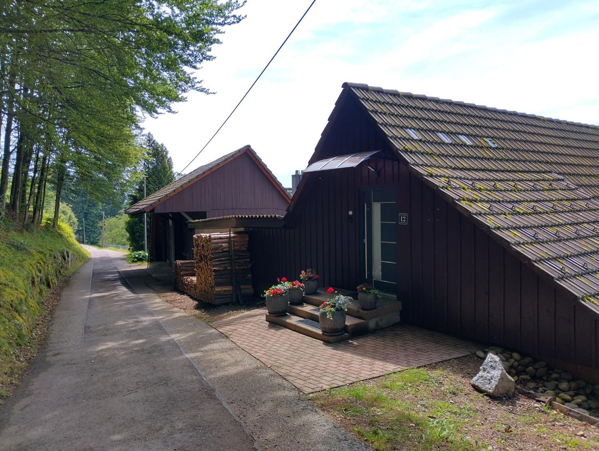 ザスバッハヴァルデンHaus "Guck - Ins - Tal"アパートメント エクステリア 写真