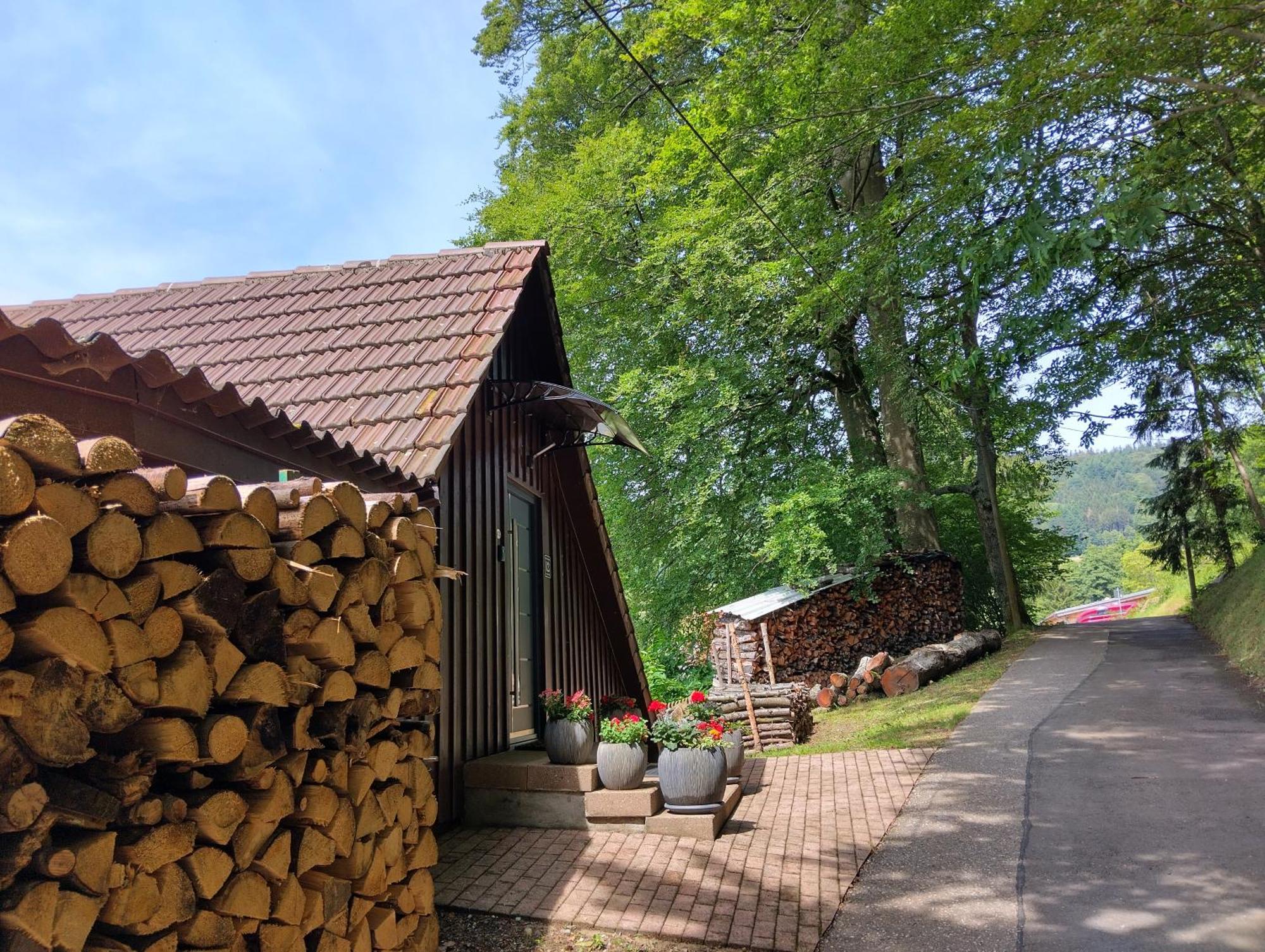 ザスバッハヴァルデンHaus "Guck - Ins - Tal"アパートメント エクステリア 写真